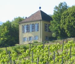 Forstmuseum